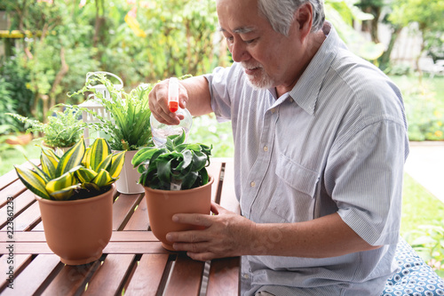 Senior man watering plant in garden on wooden table.