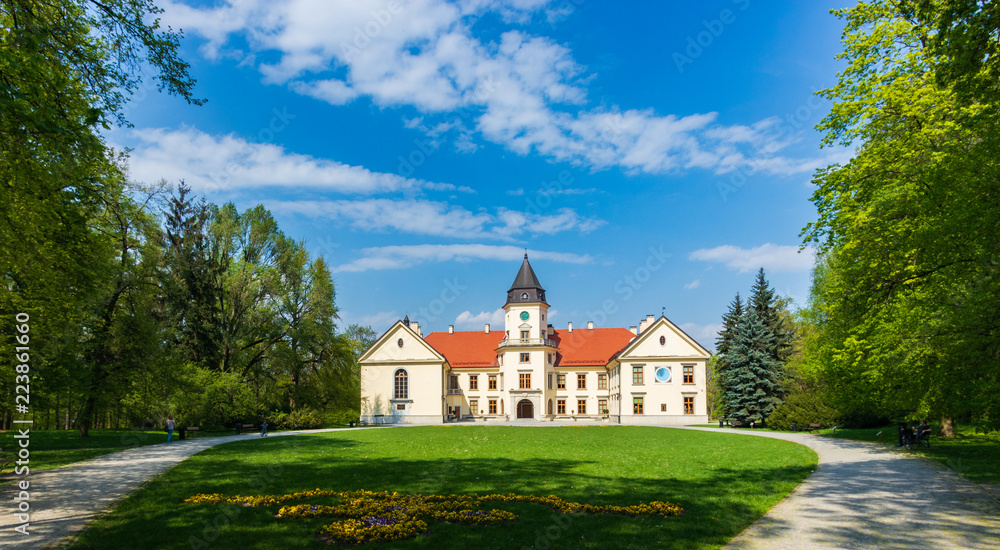 the Tarnowski castle in Tarnobrzeg the Tarnowski castle in Tarnobrzeg