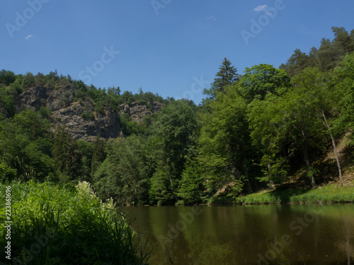 Flooplain forest landscape