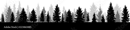 Trees,  silhouette of forest, vector