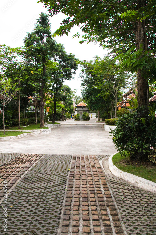 Walkway with trees on the side.