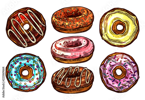 Bright And Colorful Set Of Donuts In Sketch Style. Collection Of Hand Drawn Dessert