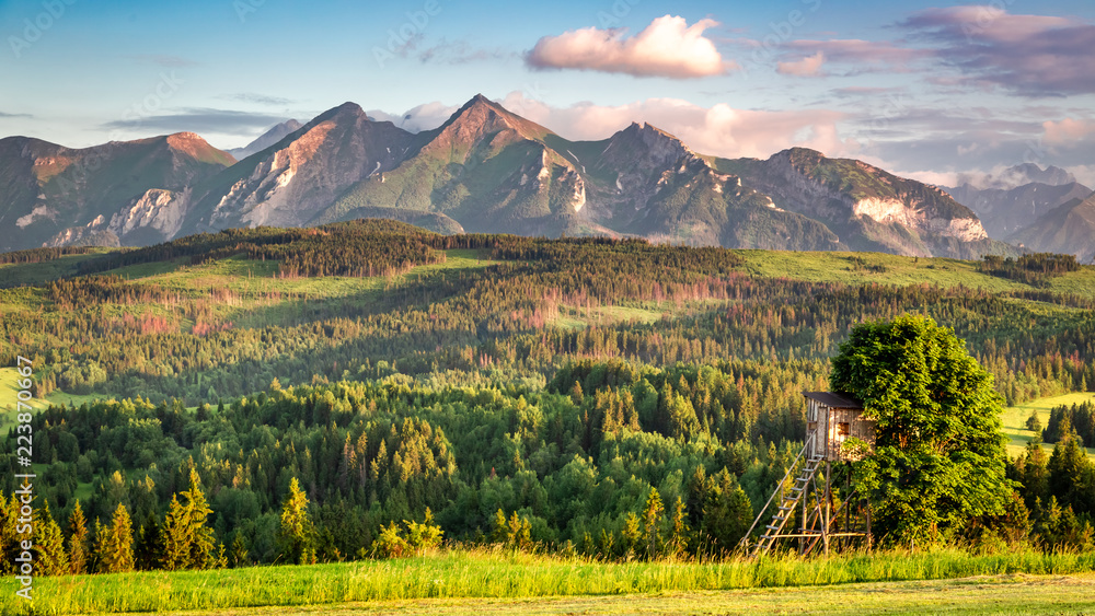 Naklejka premium Stunning Tatra mountains at sunset in summer