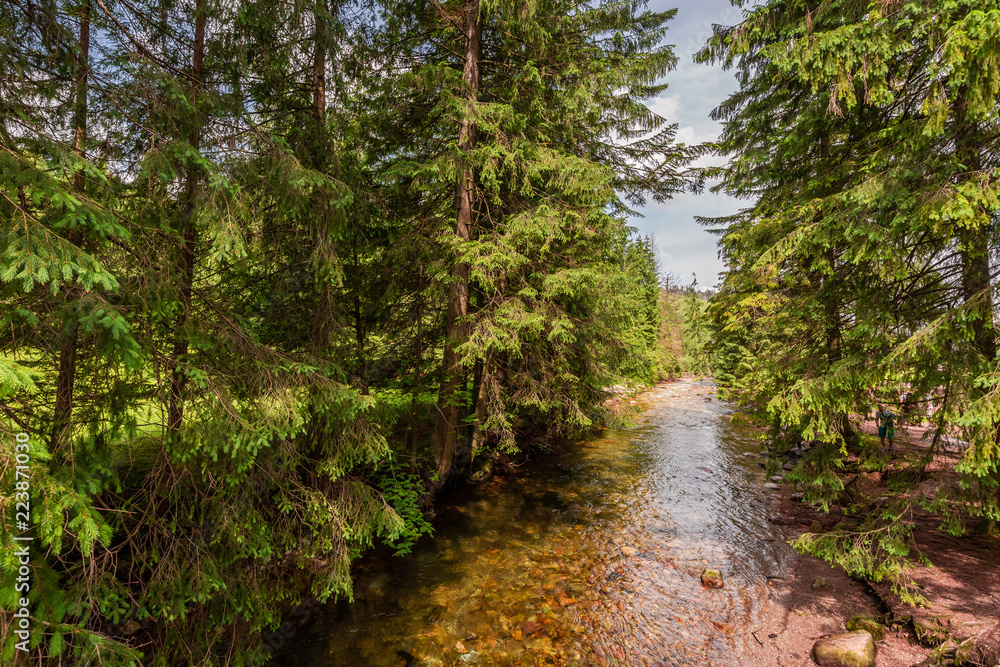 Stunning small stream in Koscieliska valley in Tatra mountains Stunning small stream in Koscieliska valley in Tatra mountains