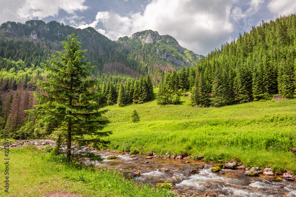 Stunning small stream in Koscieliska valley, Tatra mountains