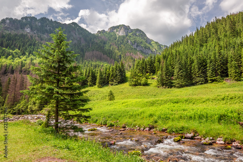 Obraz na płótnie Stunning small stream in Koscieliska valley, Tatra mountains w salonie