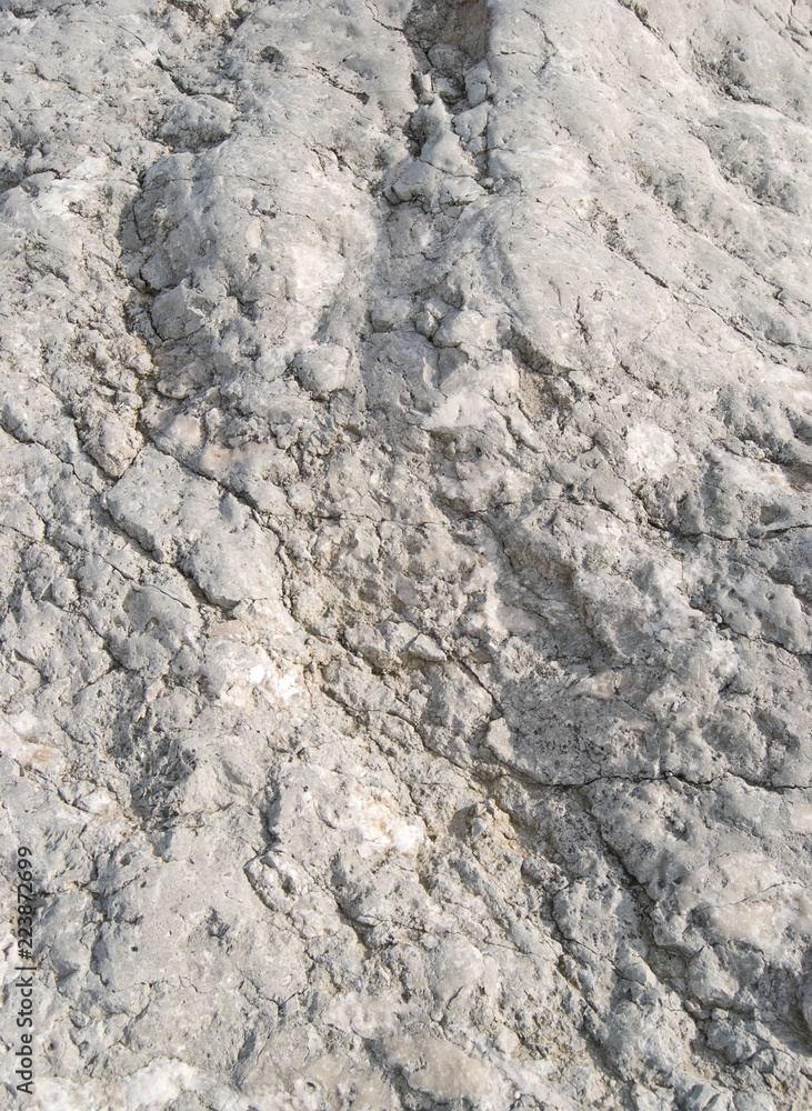 Fototapeta premium Stone texture. Surface of a giant boulder close up