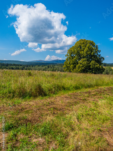 Bieszczady Mountains, Poland