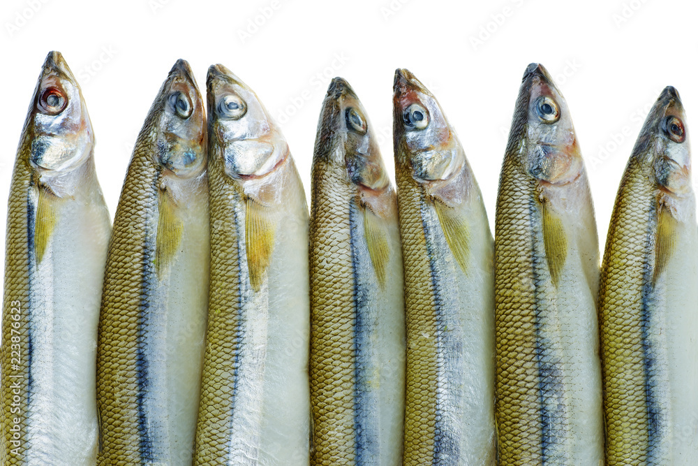 Fototapeta premium Few fresh raw european smelt fishes isolated on white background