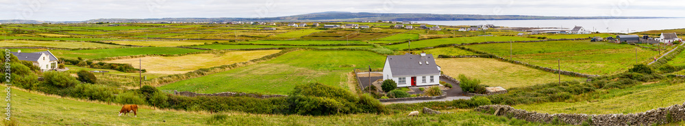 Farms with meadow and Liscannor village in background