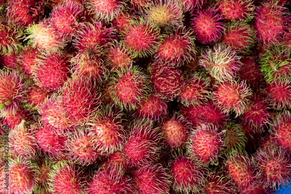 Rambutan tropical fruit food Rambutan tropical fruit food