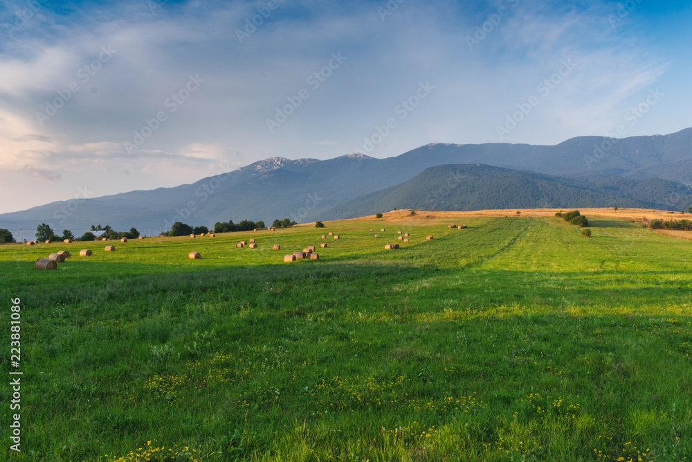 Landscape view of a beautiful golden hay bale field in late summer or early autumn with mountains in the background, golden hour. Continental Croatia, Europe. 
