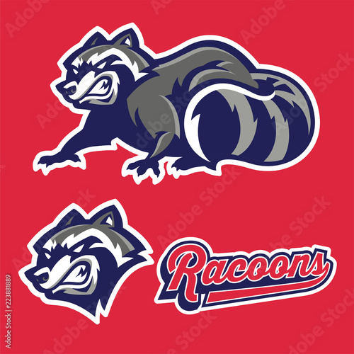 angry racoon mascot set