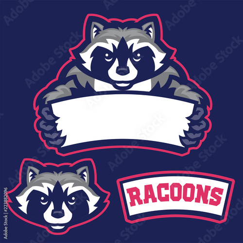 raccoon in sport mascot style hold the blank space for text