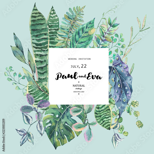 Vector green exotic leaves, greenery botanical illustration