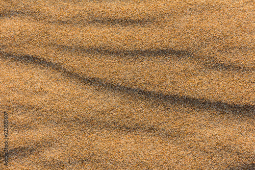 texture desert sand dunes, barkhans and lines