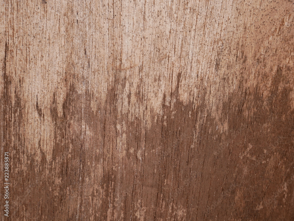 Obraz premium wood texture background
