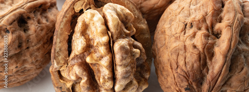 large walnuts on white background
