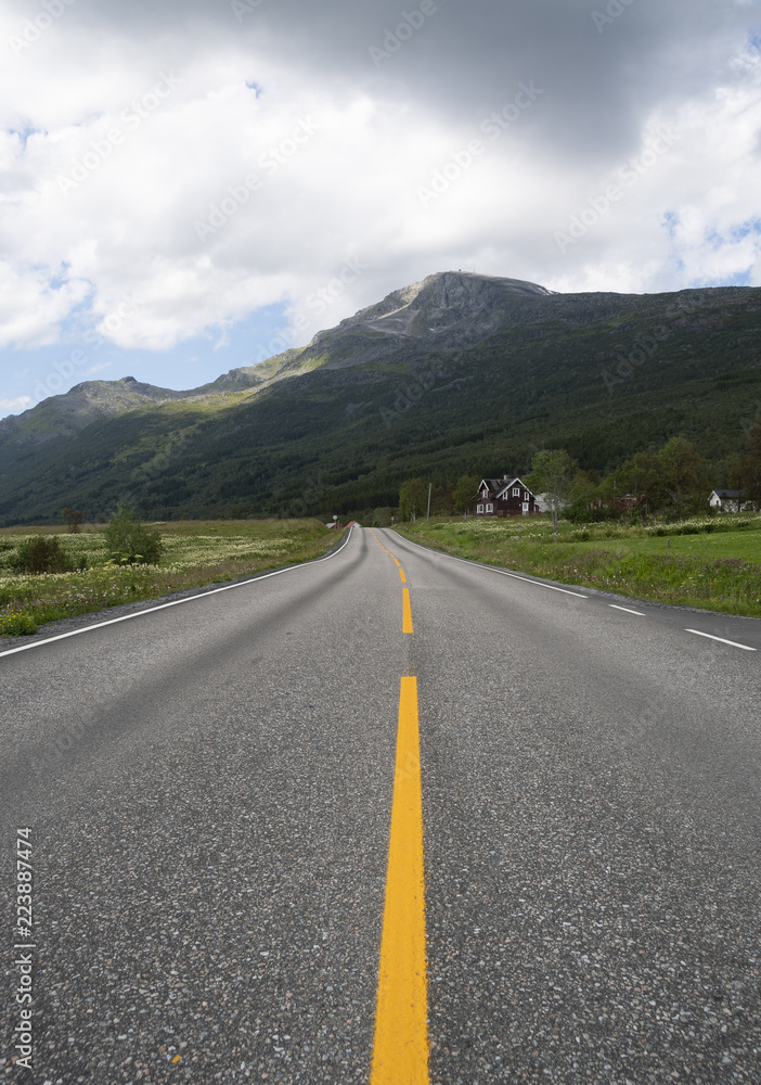 Fototapeta premium country road in north norway