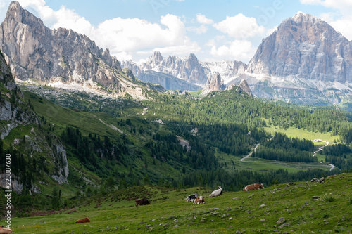 Wallpaper Mural Mountain scene of the Italian Dolomites, near the Giau Pass, on a Summer Afternoon. Torontodigital.ca
