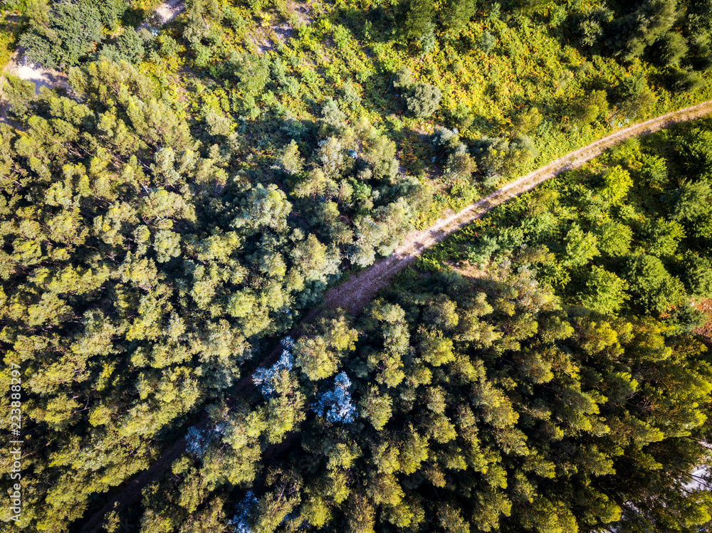 Aerial view of a forest in Spain Aerial view of a forest in Spain