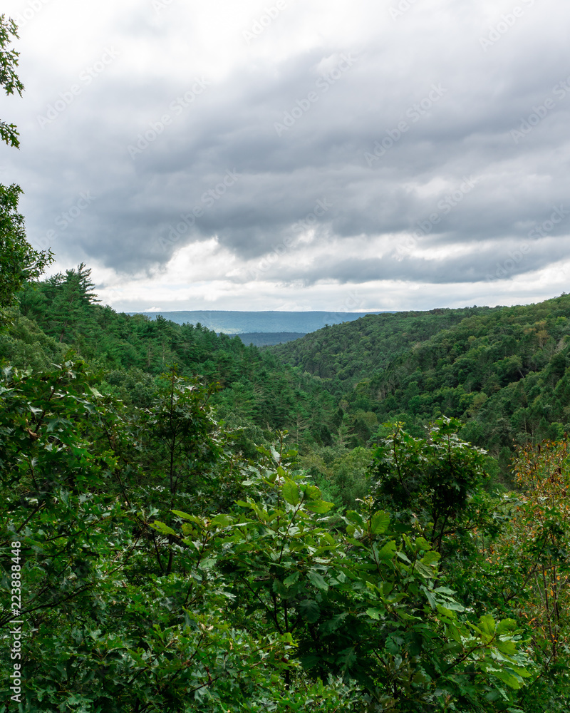 Pennsylvania Nature 