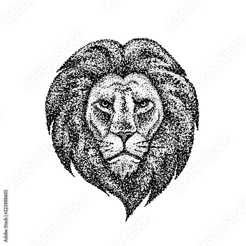 Fototapeta Naklejka Na Ścianę i Meble -  Dotwork Lion Face