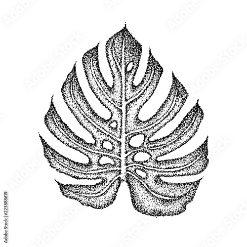 Dotwork Monstera Leaf