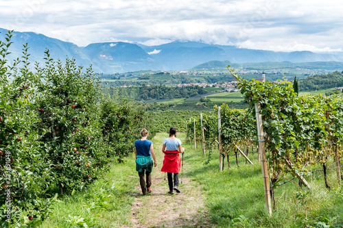 zwei Wanderer durch Weinreben in Südtirol