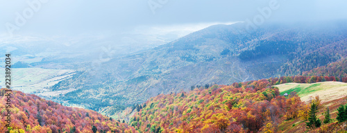 Panorama of colorful trees in the autumn mountains. © volff