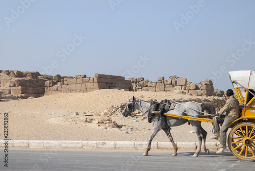 A cart on the background of the ruins in the desert