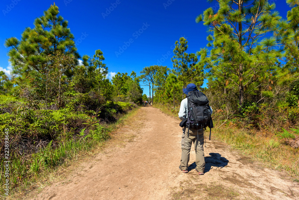 Obraz premium Man with hiking equipment walking in mountain forest, Thailand.