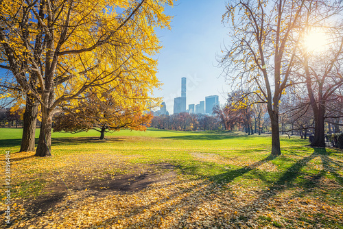 Central park in New York City at sunny autumn day, USA