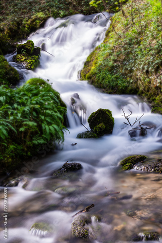 waterfall in forest