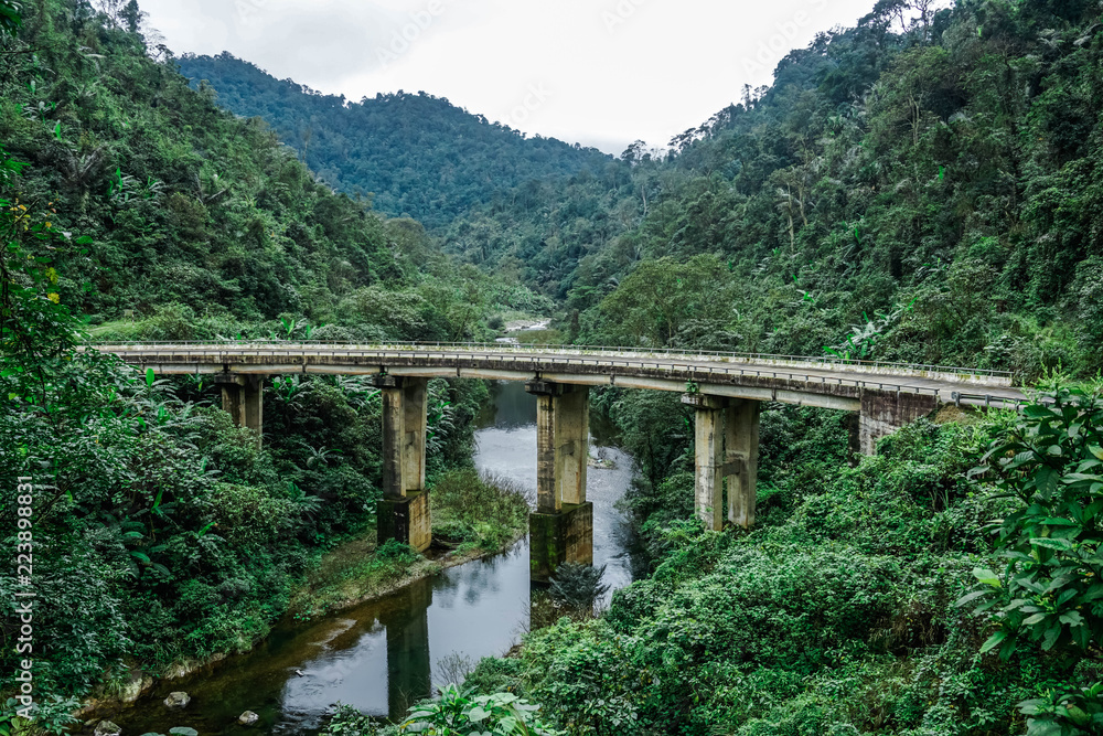 Bridge in the jungle. Quan Binh Province, Vietnam