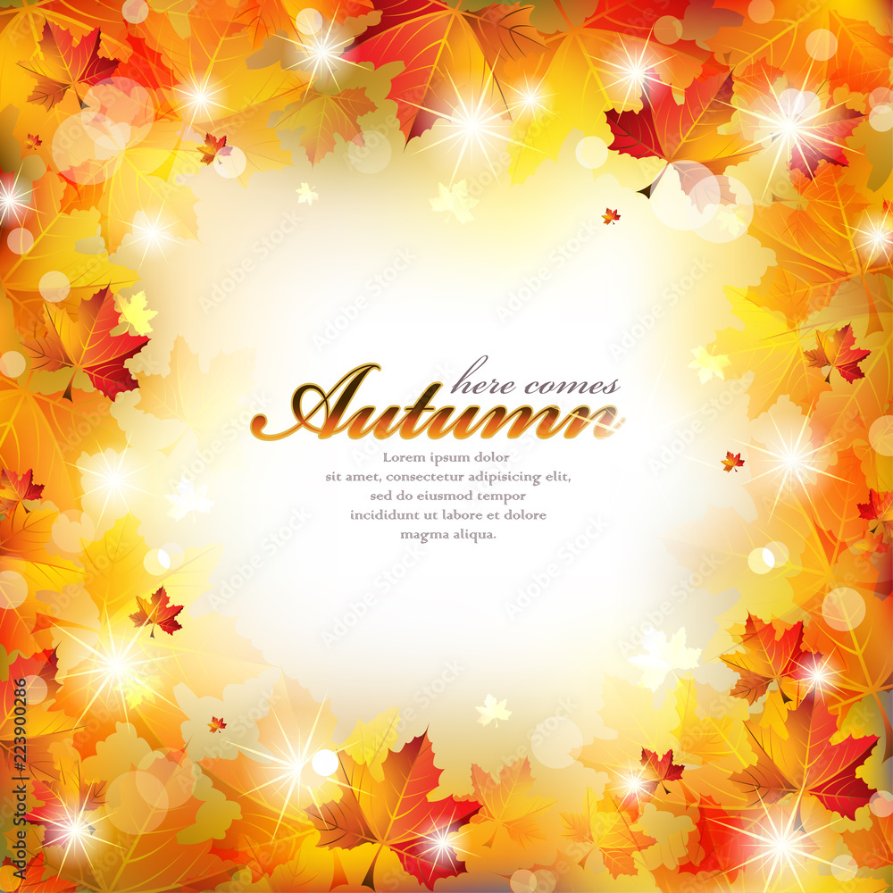Autumn Frame with Colorful Leaves, Sparkling Stars and Defocused Light on a Blurred Background Autumn Frame with Colorful Leaves, Sparkling Stars and Defocused Light on a Blurred Background