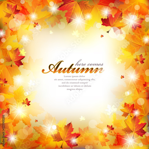 Autumn Frame with Colorful Leaves, Sparkling Stars and  Defocused Light on a Blurred Background