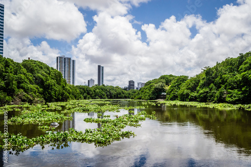 Bild auf Leinwand Cities of Brazil - Recife, PE