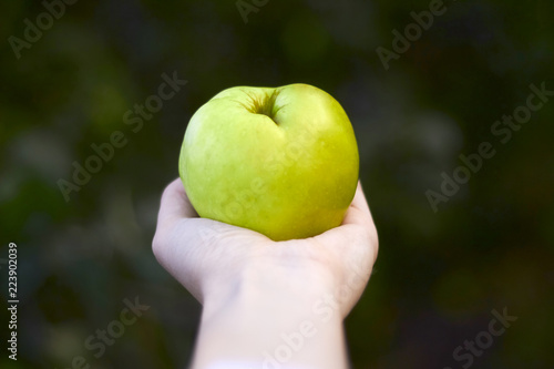 Woman's hand holding green apple. GMO concept.