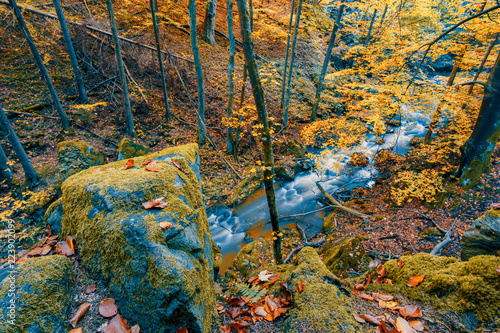 Fototapeta Naklejka Na Ścianę i Meble -  wild river Doubrava, autumn landscape