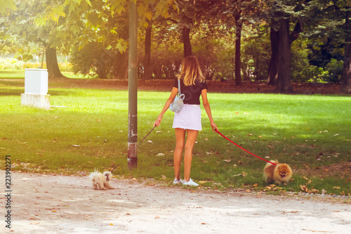 Photography Beautiful young woman with two small dogs in the park