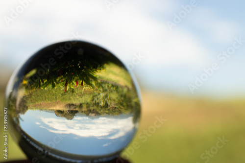 boule ronde miroir reflet à l'envers globe © PetitNuage