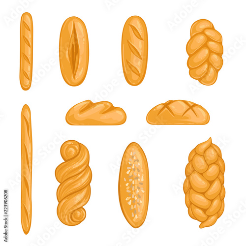 Set of bakery products. Bread, loaf, hala, baguette in cartoon style. Vector illustration