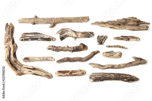 Set of driftwood isolated on white background. Pieces of river drift wood.  photo