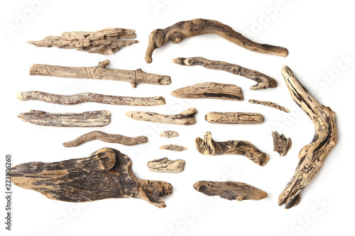 Set of driftwood isolated on white background. Pieces of river drift wood. 