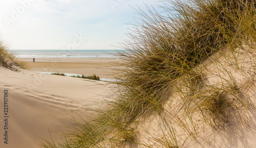 Fototapeta Naklejka Na Ścianę i Meble -  look from dunes to the beach at the north sea in the netherlands. dune and beach sand with dune grass and the water in the background.