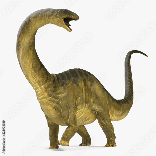 Apatosaurus Dinosaur model on white. 3D illustration photo