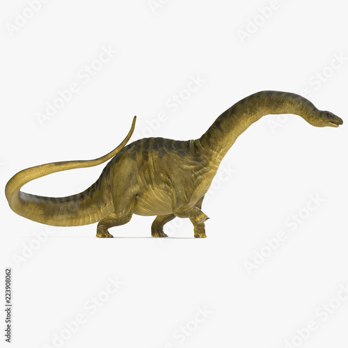 Apatosaurus Dinosaur model on white. 3D illustration © 2dmolier
