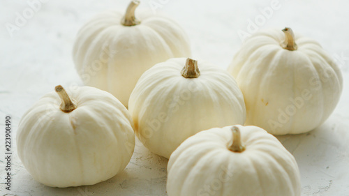 Heap of small white-colored pumpkins with dry stems on white background