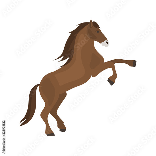 Wild horse color vector icon. Flat design